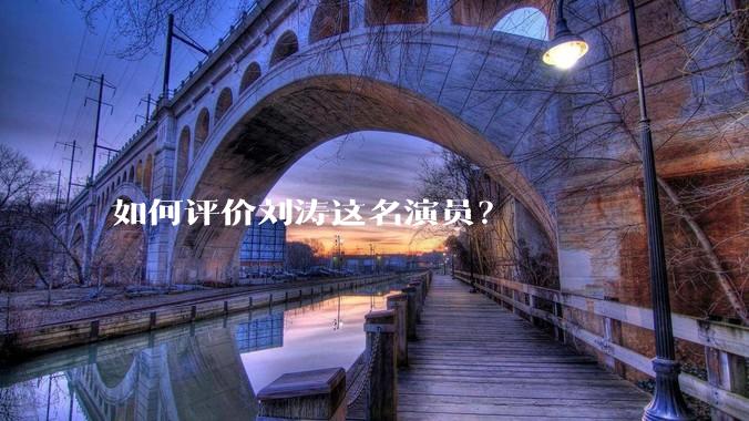 如何评价刘涛这名演员？