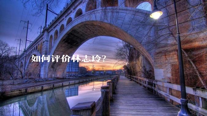 如何评价林志玲？