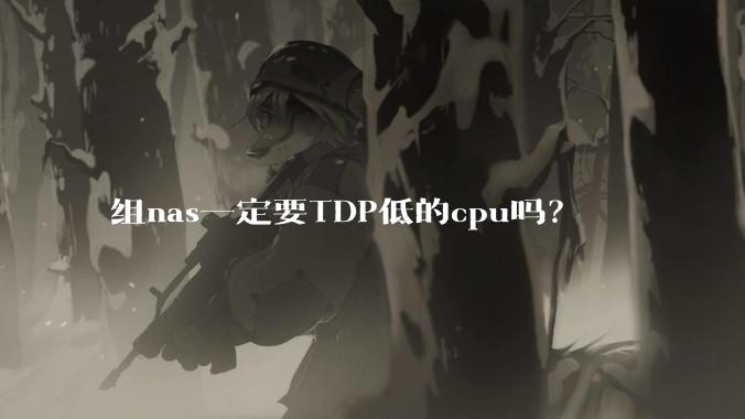 组nas一定要TDP低的cpu吗？