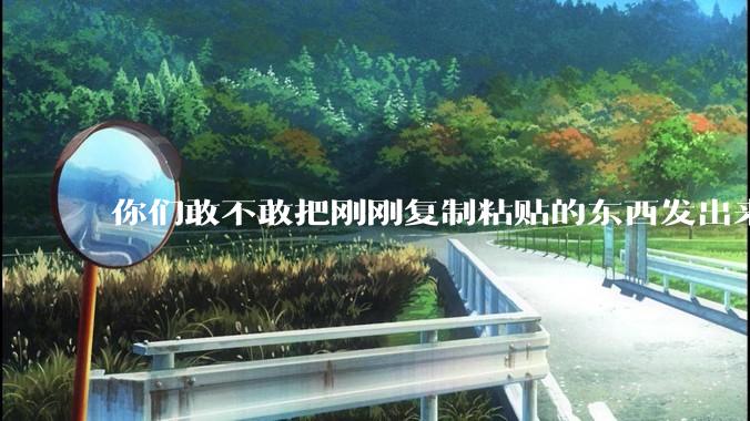 你们敢不敢把刚刚复制粘贴的东西发出来？
