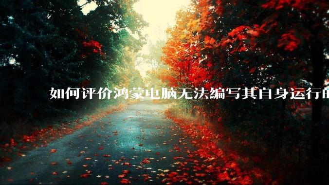 如何评价鸿蒙电脑无法编写其自身运行的程序？