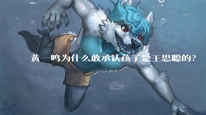 黄一鸣为什么敢承认孩子是王思聪的？