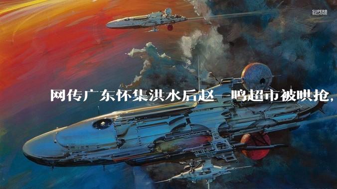 网传广东怀集洪水后赵一鸣超市被哄抢，县***回应相关单位正在核实，若属实哄抢者该承担哪些法律责任？