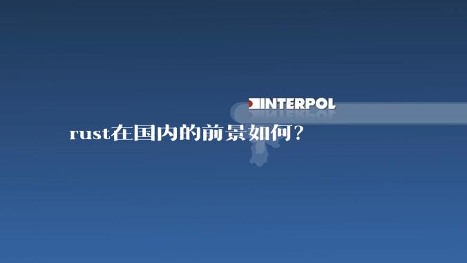 rust在国内的前景如何？
