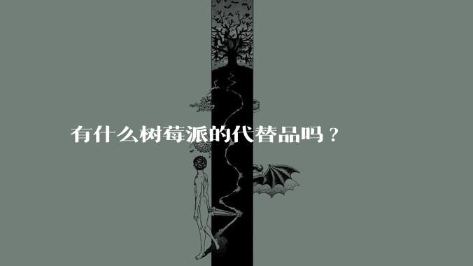 有什么树莓派的代替品吗?