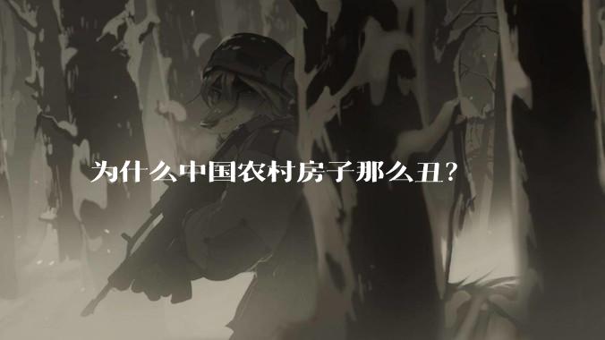 为什么中国农村房子那么丑？